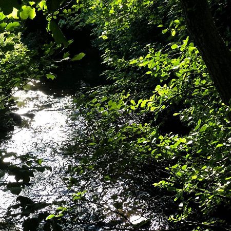 Otter Lodge Auchterarder Dış mekan fotoğraf