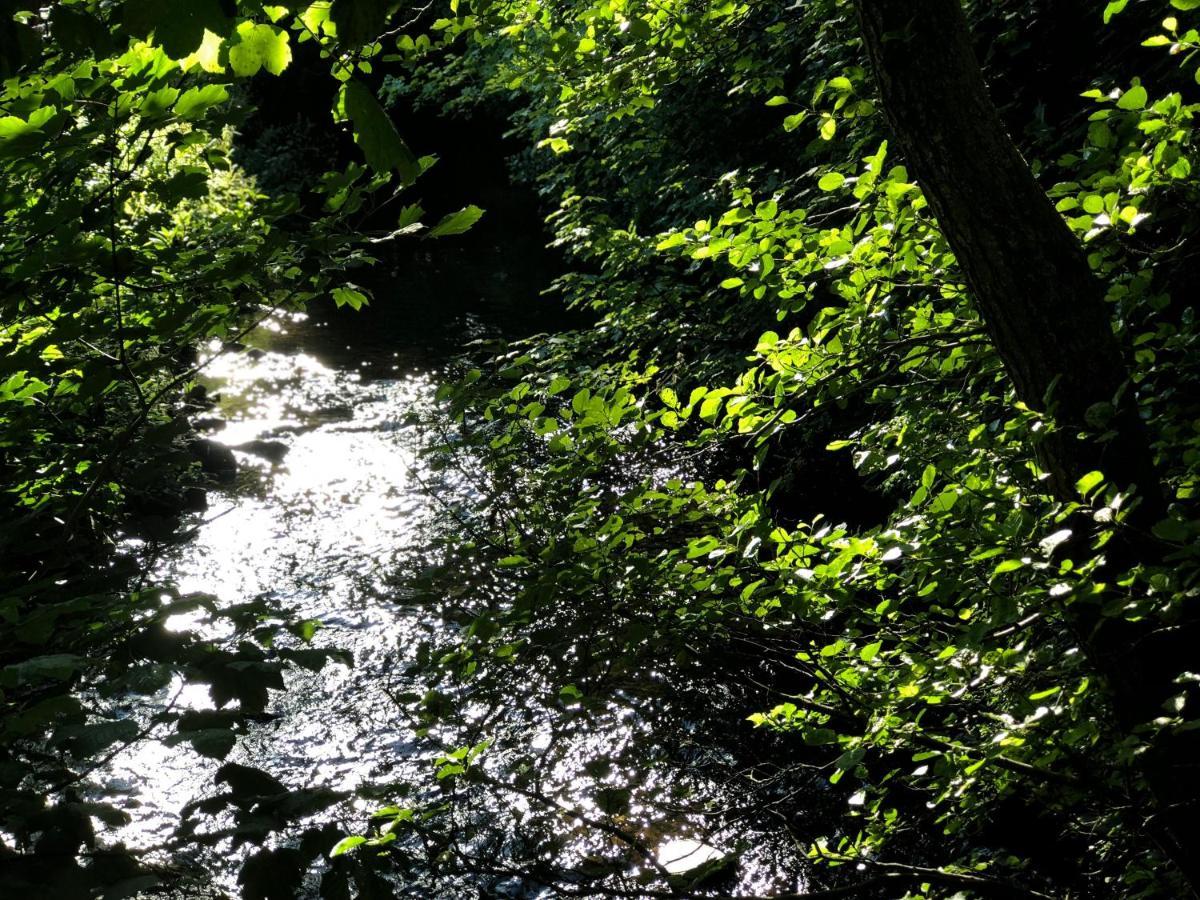 Otter Lodge Auchterarder Dış mekan fotoğraf